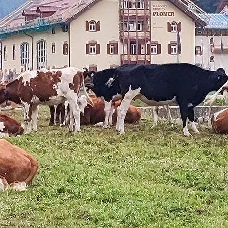 Villaggio Turistico Ploner Appartaments Carbonin Kültér fotó